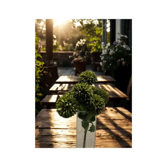 Pompom Bush 14" x9 - Green