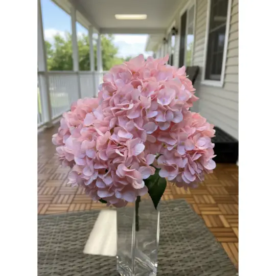 Hydrangea Bush 18" x5 - Pink