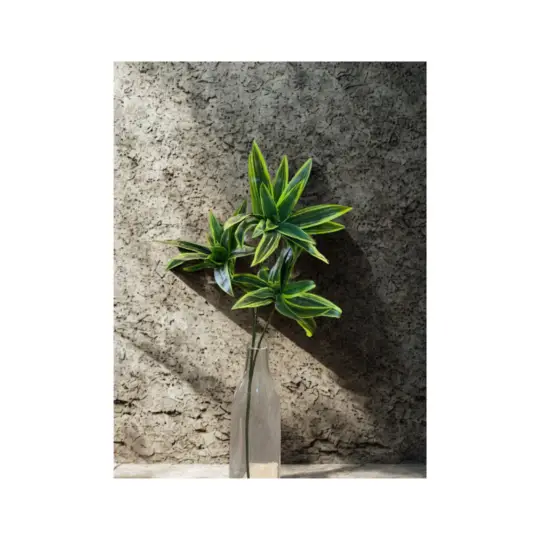 Dracaena Leaf Spray 31" - Green