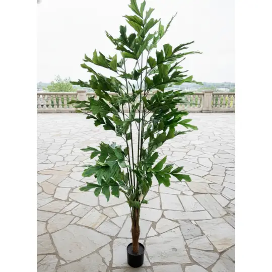 UV Protected Potted 6' Fishtail Palm Tree - Green