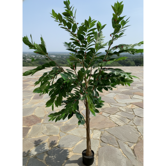 Potted 7' Coffee Tree - Green
