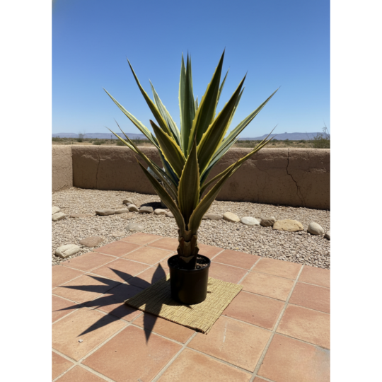 Potted 38" Agave Plant - Varigated Green
