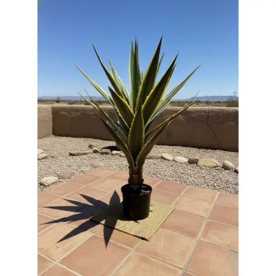 Potted 38" Agave Plant - Varigated Green