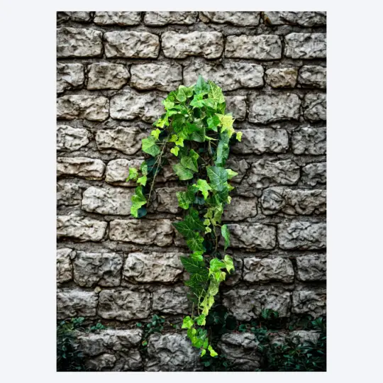 UV Protected Hanging Ivy Bush 42" - Green