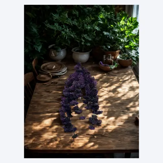 Hanging Flowering Succulent 10" - Purple