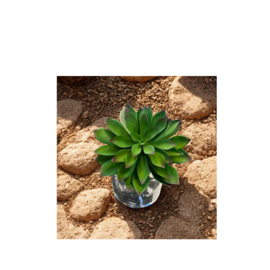 Succulent Pick 9"H 7"D - Green