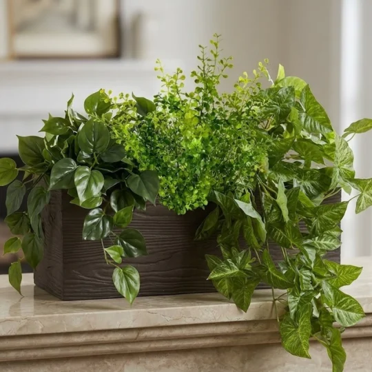 Hanging Greenery