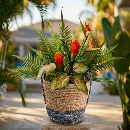 Tropical Paradise