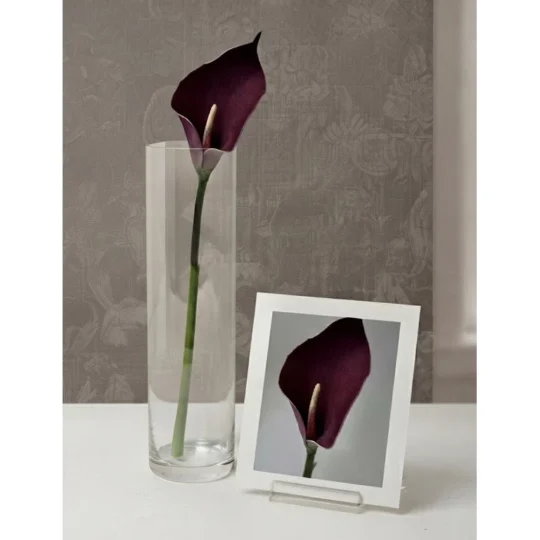 Calla Lily Stem 19" - Burgundy
