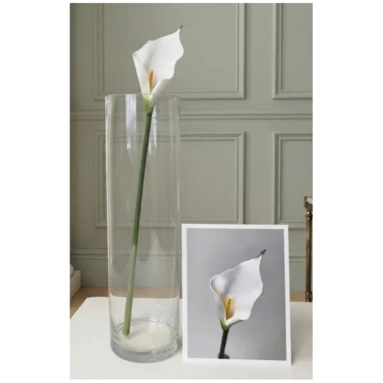 Calla Lily Stem 19" - White