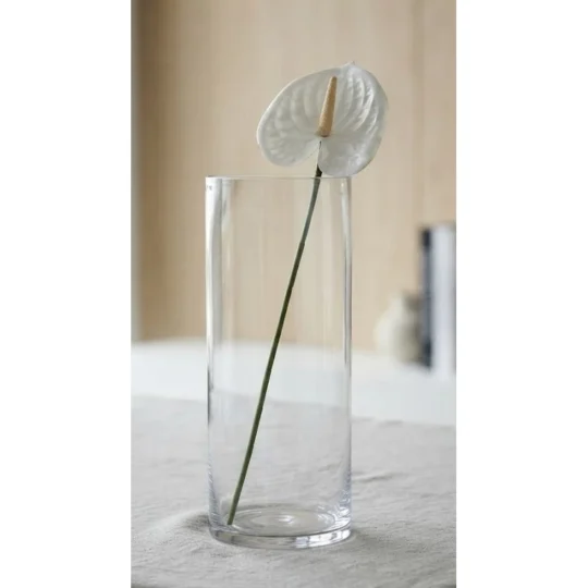 Anthurium Stem 23" - White