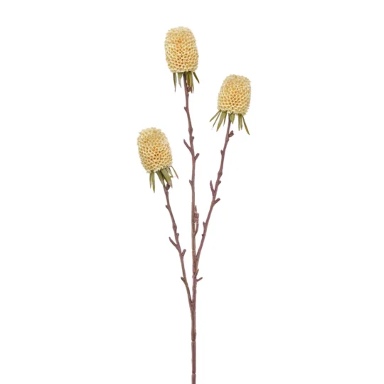 Thistle Spray x3 29" - Cream